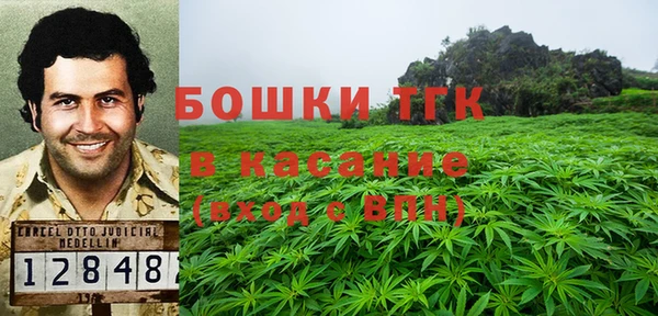 PSILOCYBIN Баксан